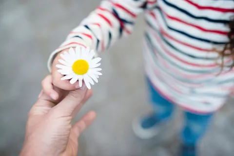 Symbolbild: Kind überreicht Erwachsenem eine Blume (Foto: istock.com / Hakase_)